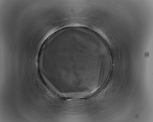X0000101711173200808071216