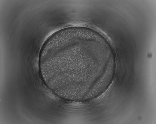 X0000101711174200808071216