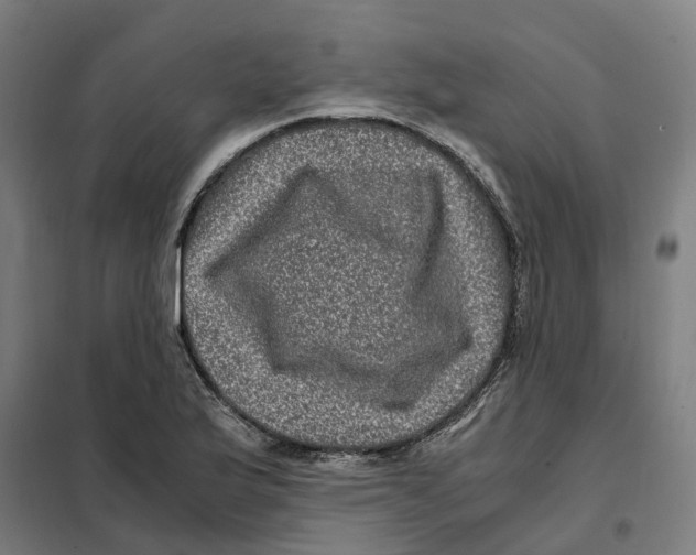 X0000101711175200808071216
