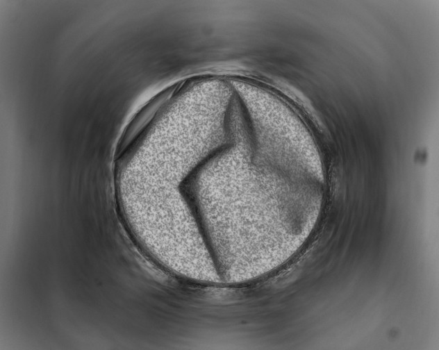 X0000101711176200808071216