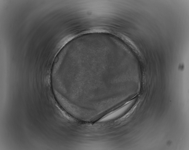 X0000101711177200808071216