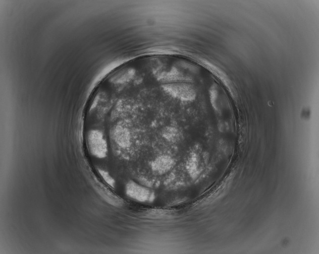 X0000101711179200808071216