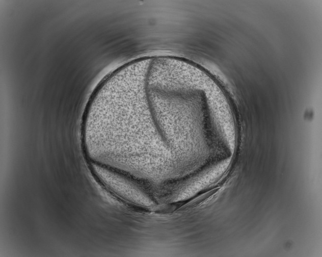 X0000101711181200808071215