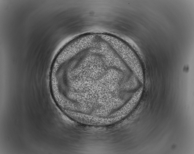 X0000101711183200808071215