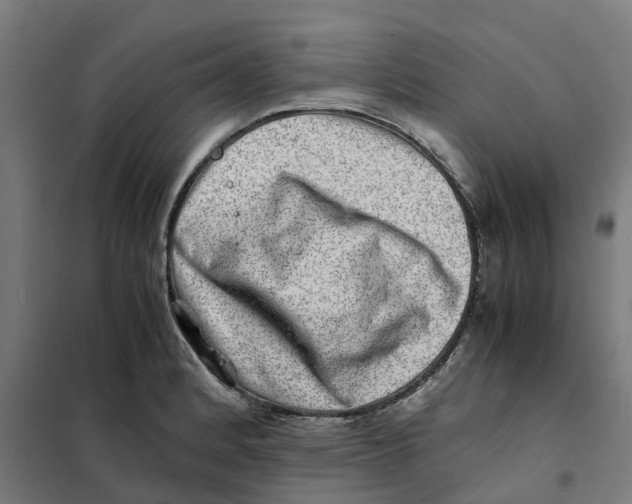 X0000101711184200808071215