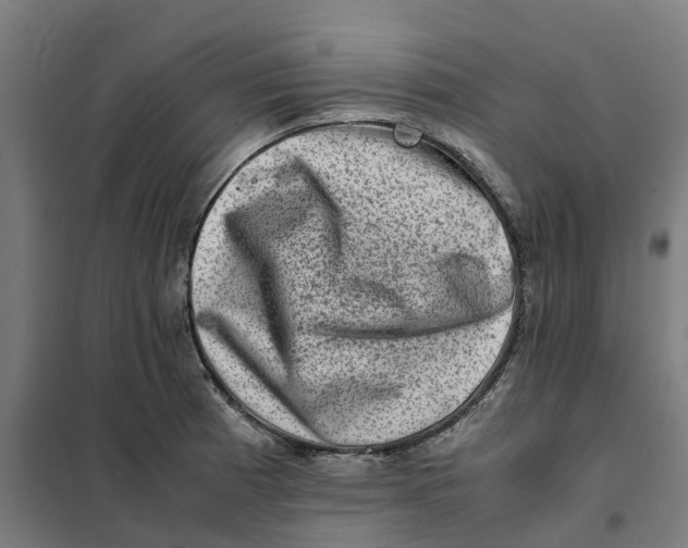 X0000101711185200808071215