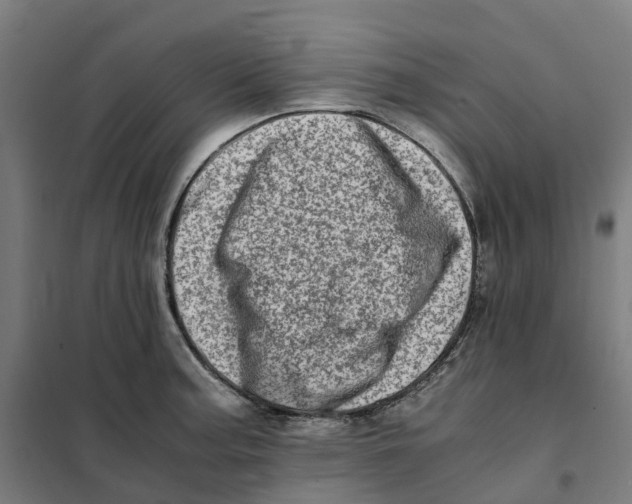 X0000101711187200808071215