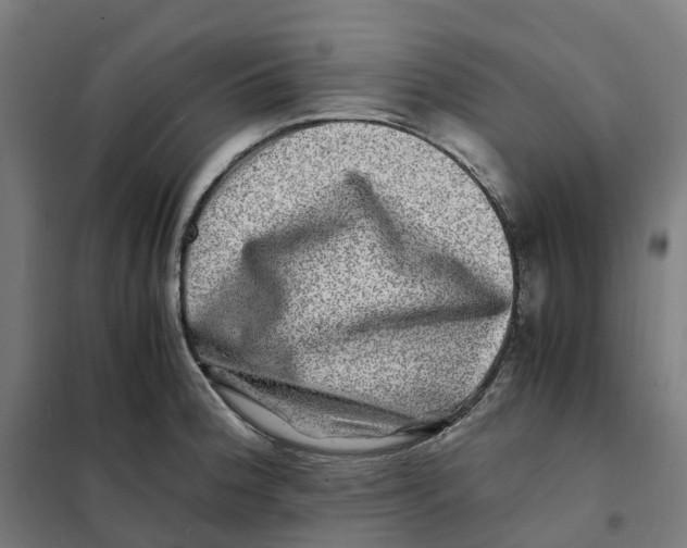 X0000101711188200808071215
