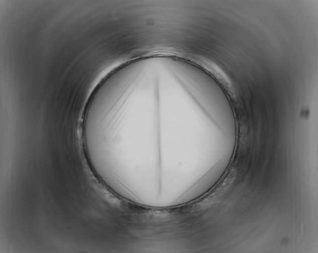X0000101711190200808071215