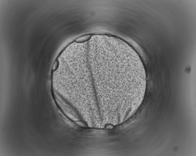 X0000101711191200808071215