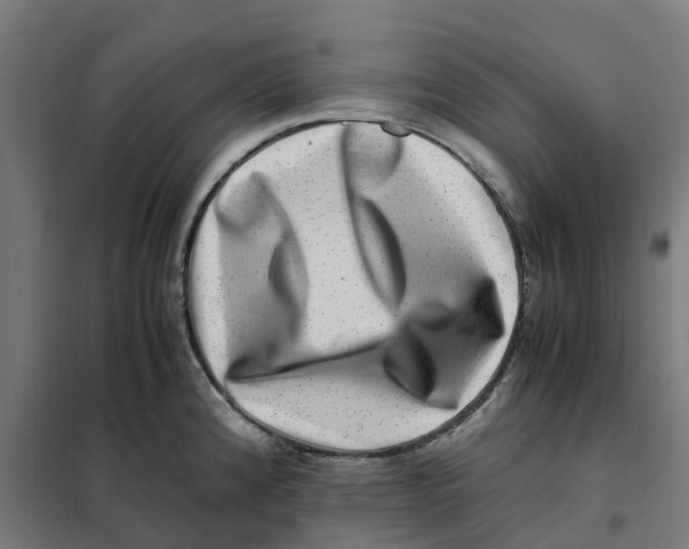 X0000101711192200808071215