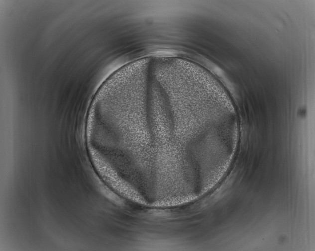 X0000101711194200808071215