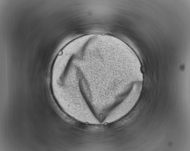 X0000101711195200808071215