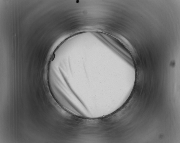 X0000101711196200808071215