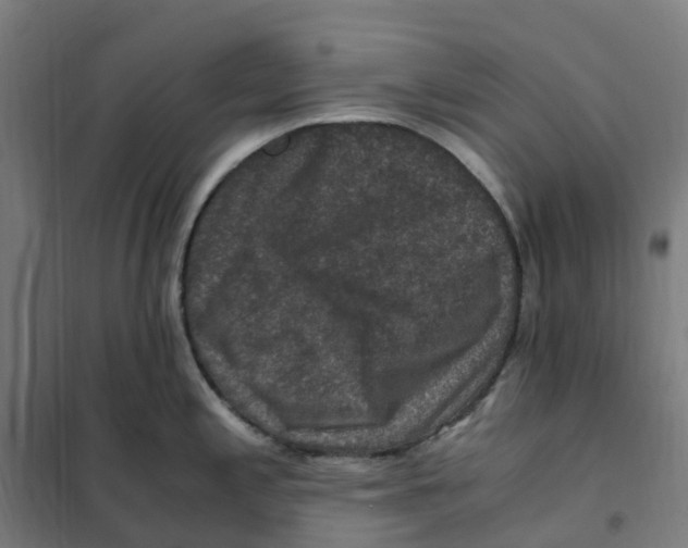 X0000101711197200808071215