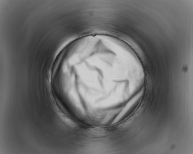 X0000101711198200808071215