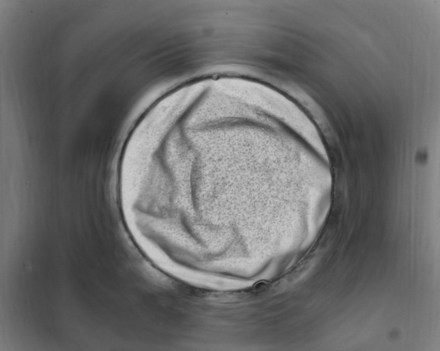 X0000101711199200808071215