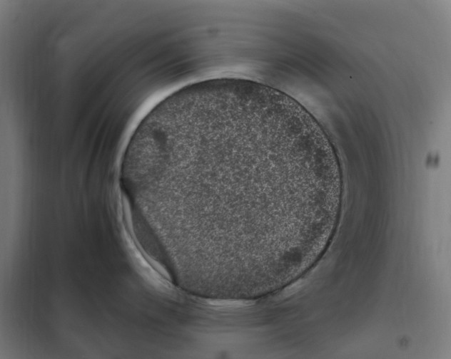 X0000101711200200808071215