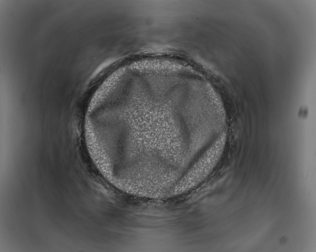 X0000101711206200808071214