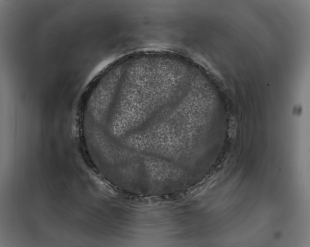 X0000101711208200808071215