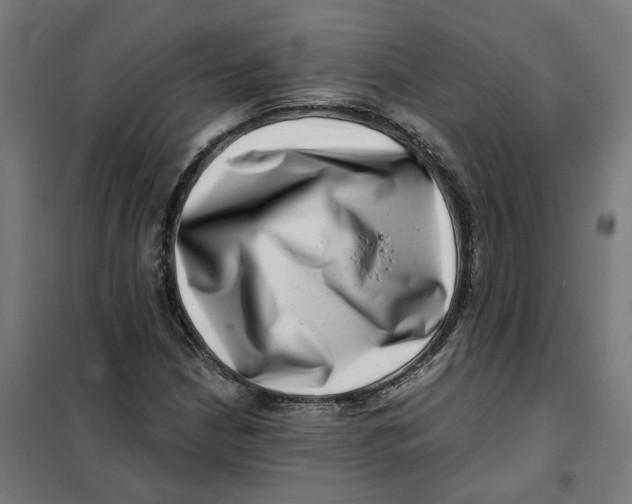X0000101711210200808071215