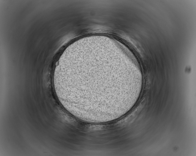 X0000101711211200808071215