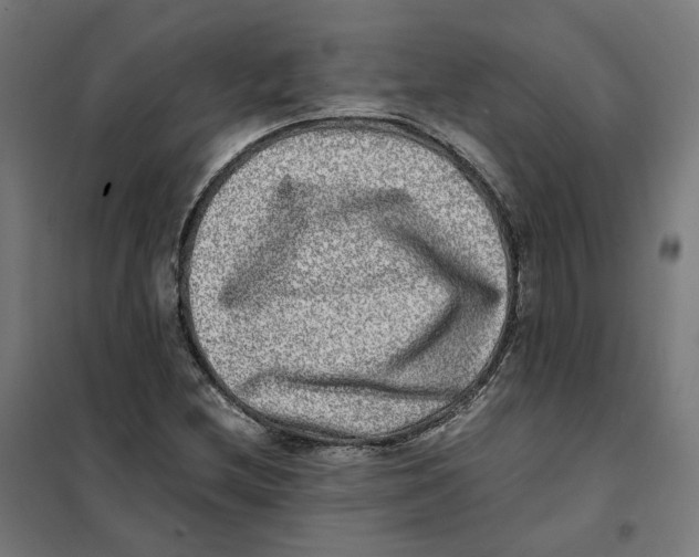 X0000101711212200808071215