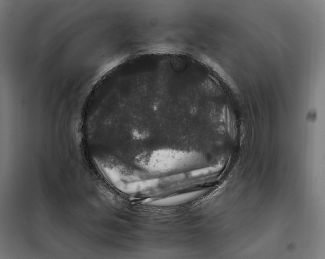 X0000101711213200808071215