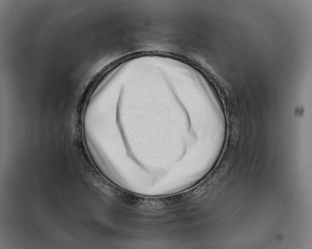 X0000101711215200808071215