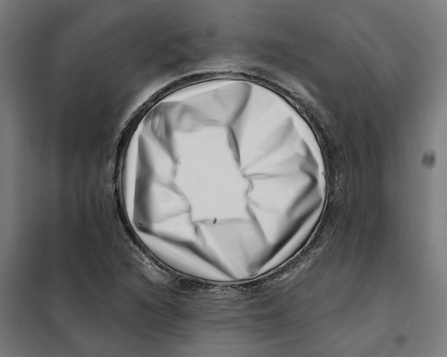X0000101711216200808071215
