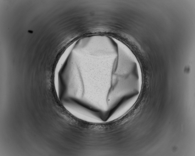 X0000101711217200808071215