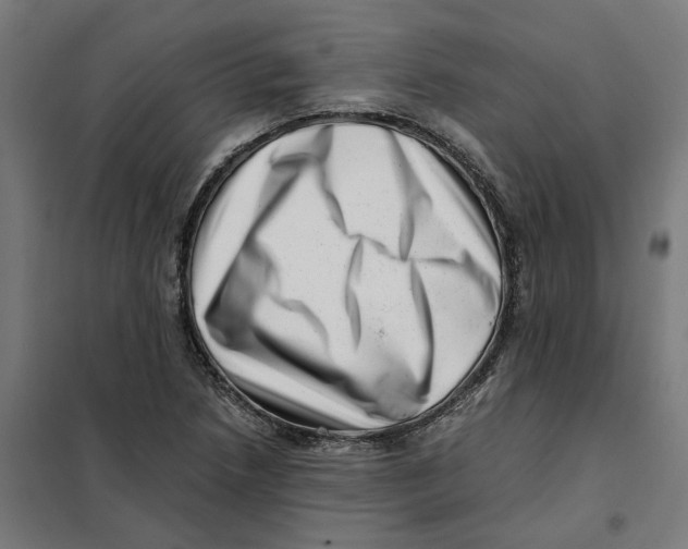 X0000101711218200808071215