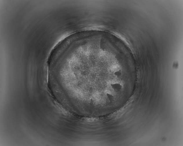 X0000101711219200808071215