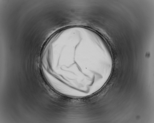 X0000101711220200808071215