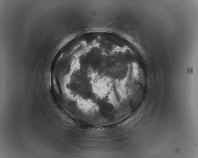 X0000101711221200808071215
