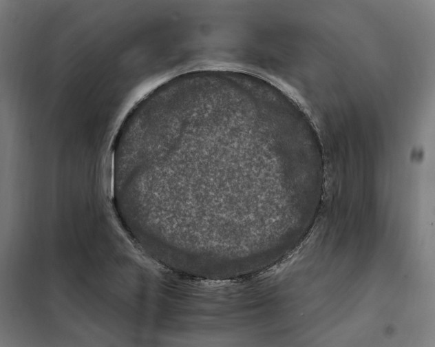 X0000101711223200808071215