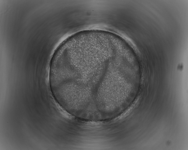X0000101711224200808071215