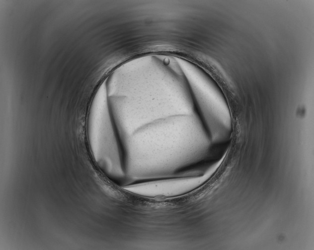X0000101711225200808071215