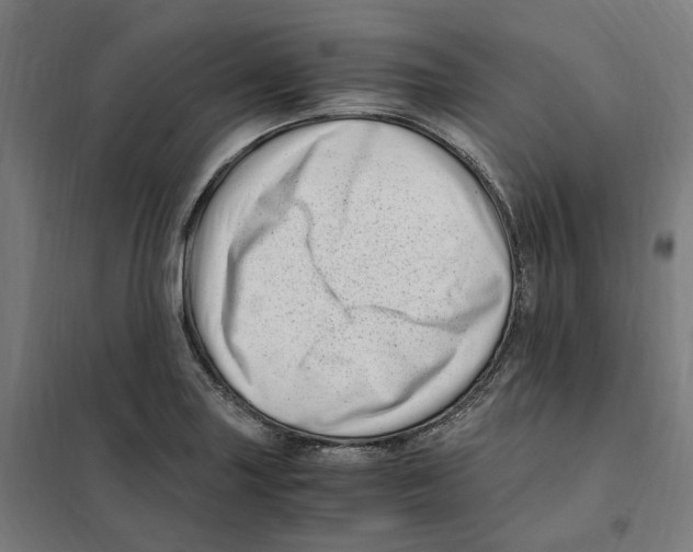 X0000101711227200808071215