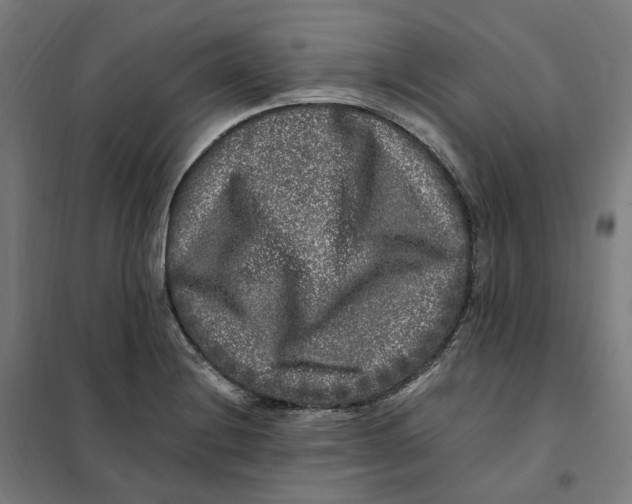 X0000101711228200808071215