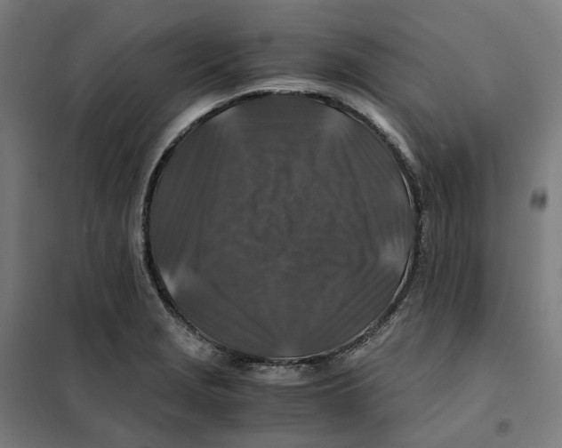 X0000101711229200808071215