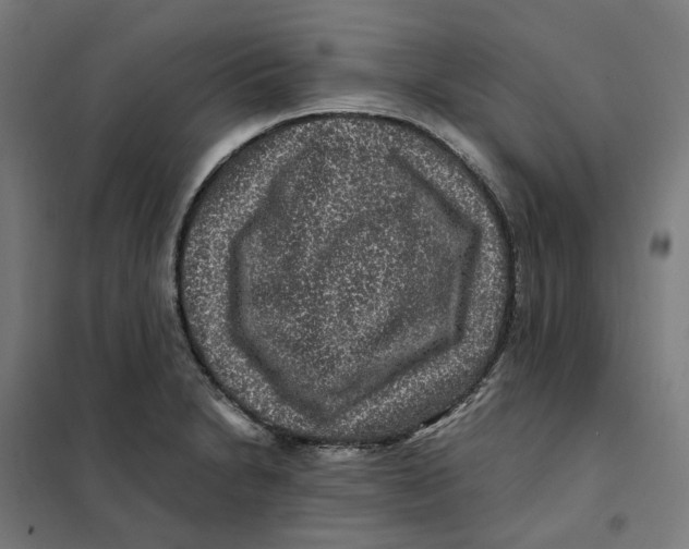 X0000101711230200808071215