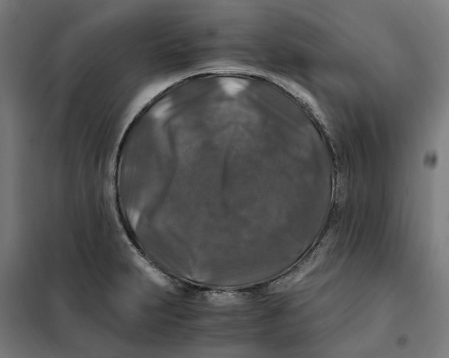 X0000101711231200808071215