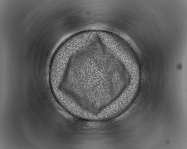 X0000101711232200808071215