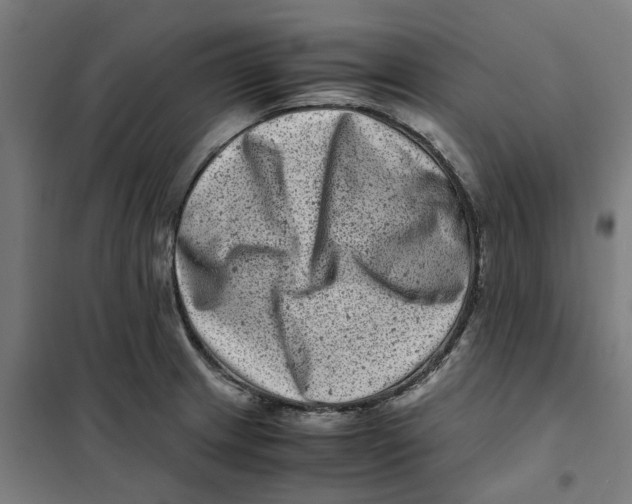 X0000101711233200808071215