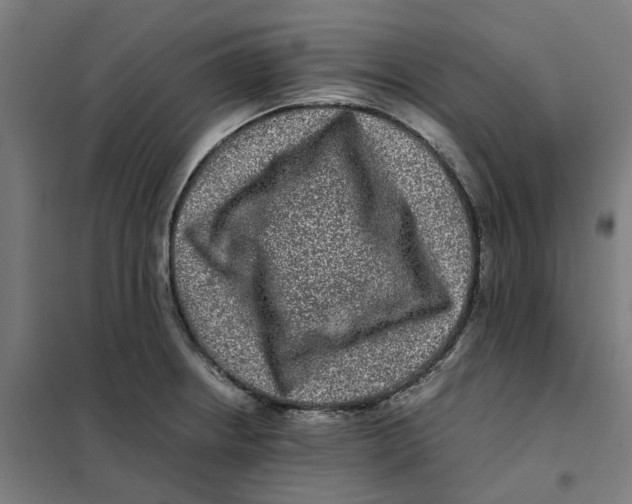 X0000101711234200808071215