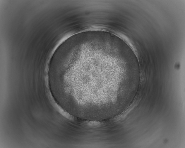 X0000101711235200808071215