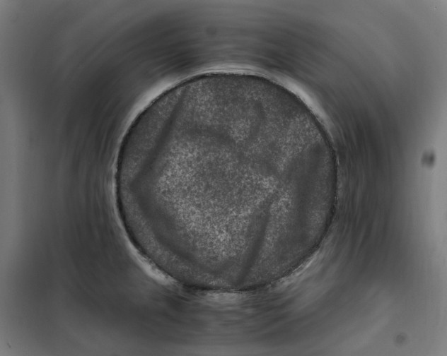 X0000101711237200808071215