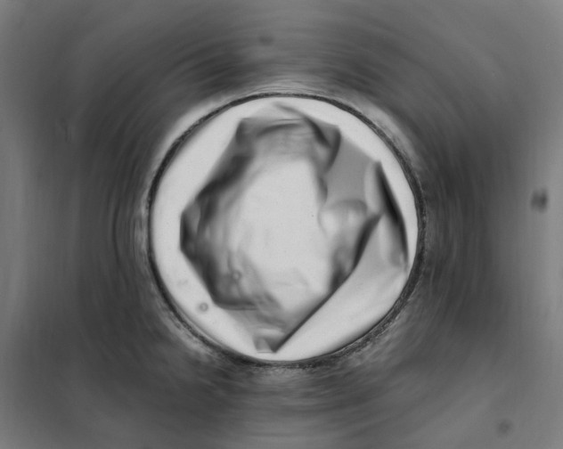 X0000101711238200808071215
