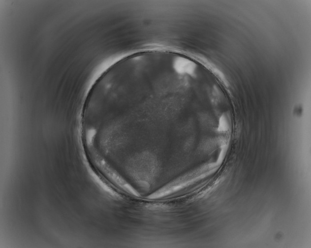 X0000101711239200808071215